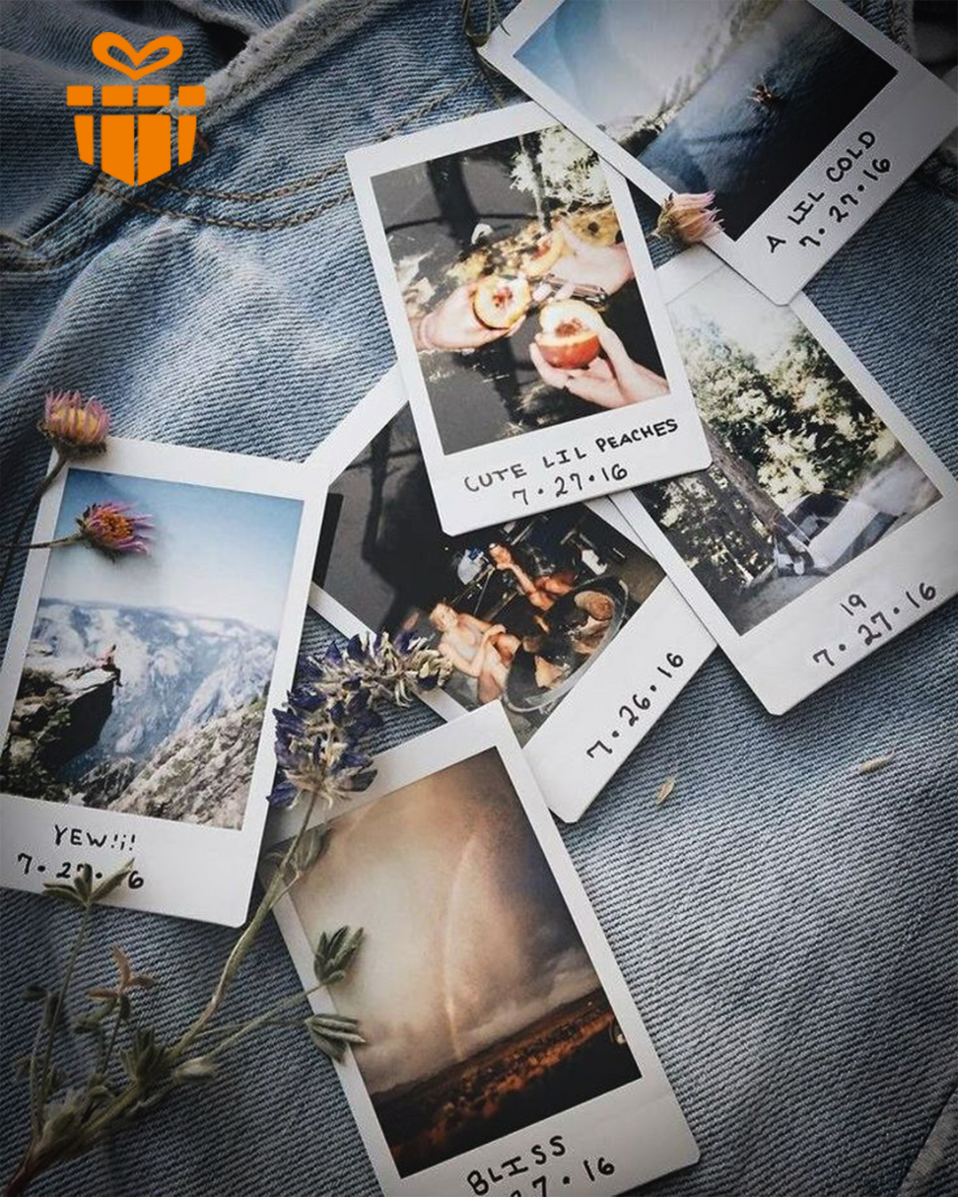 Polaroid – Vintage Vibes, Modern Touch (Set of 12) - Image 6